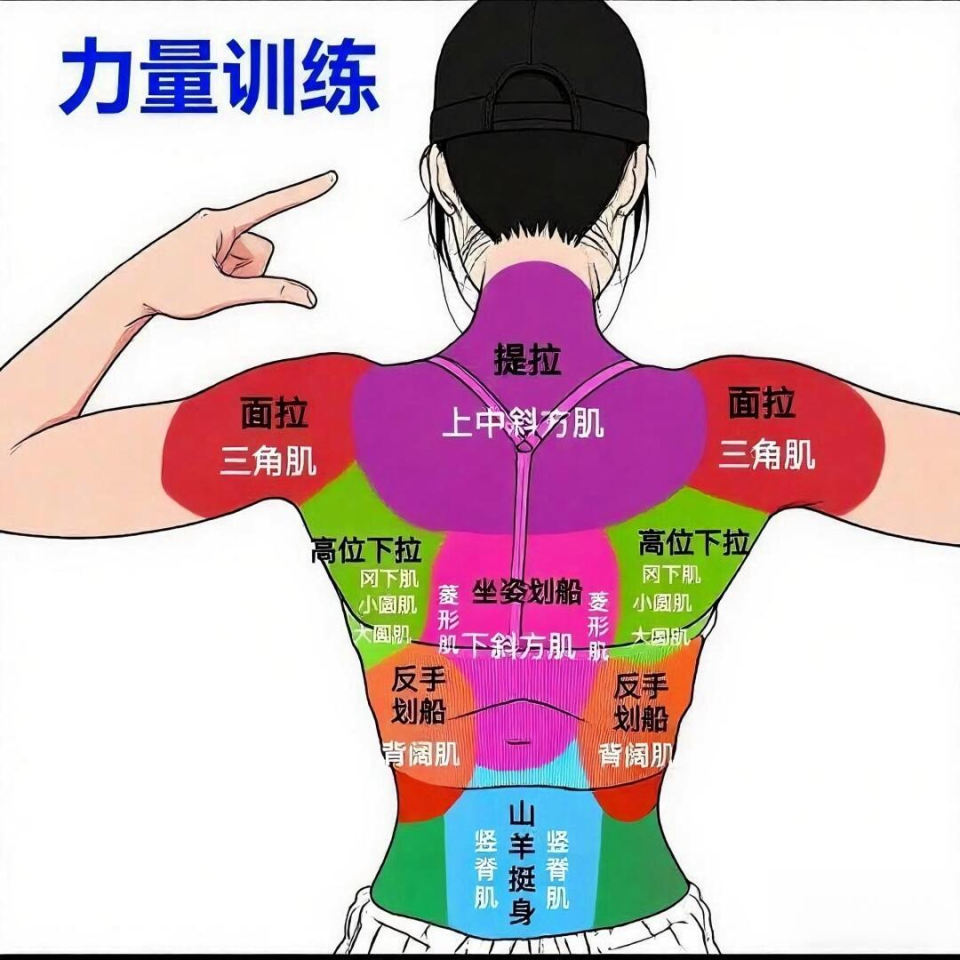 BwpVq, 手臂训练, 挺胸