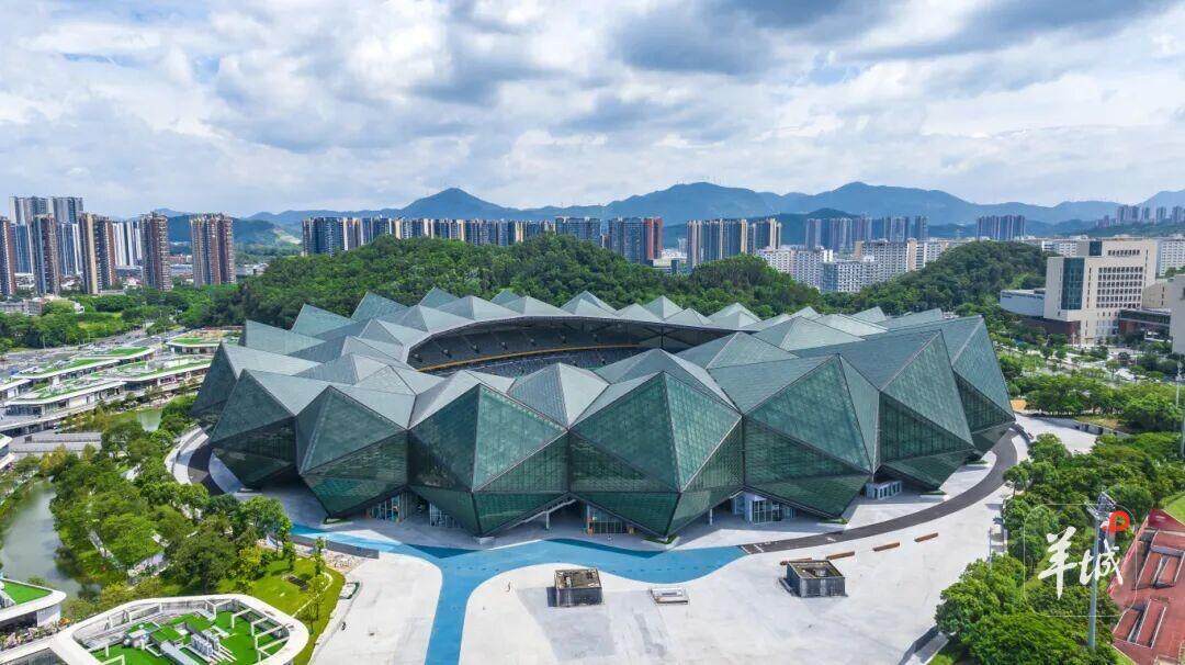 体育中心体, 面稳定传输, 基地